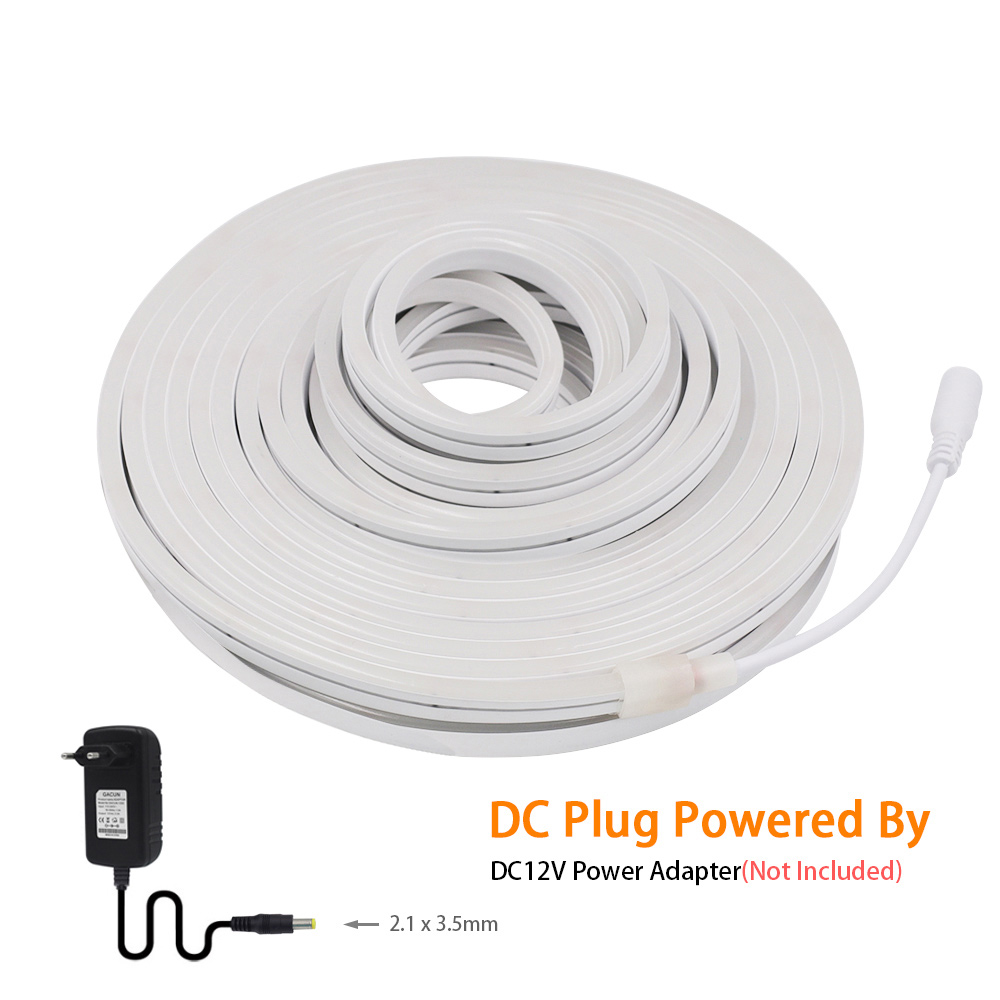 DC 12V LED Neon Strip Light Ne - đánh giá và giá Decor Lighting Hours