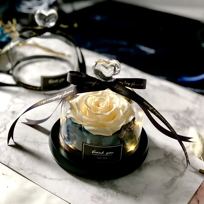 Người Đẹp Và Quái Thú Tiết Kiệ - đánh giá và giá Decor Timeless Lighting